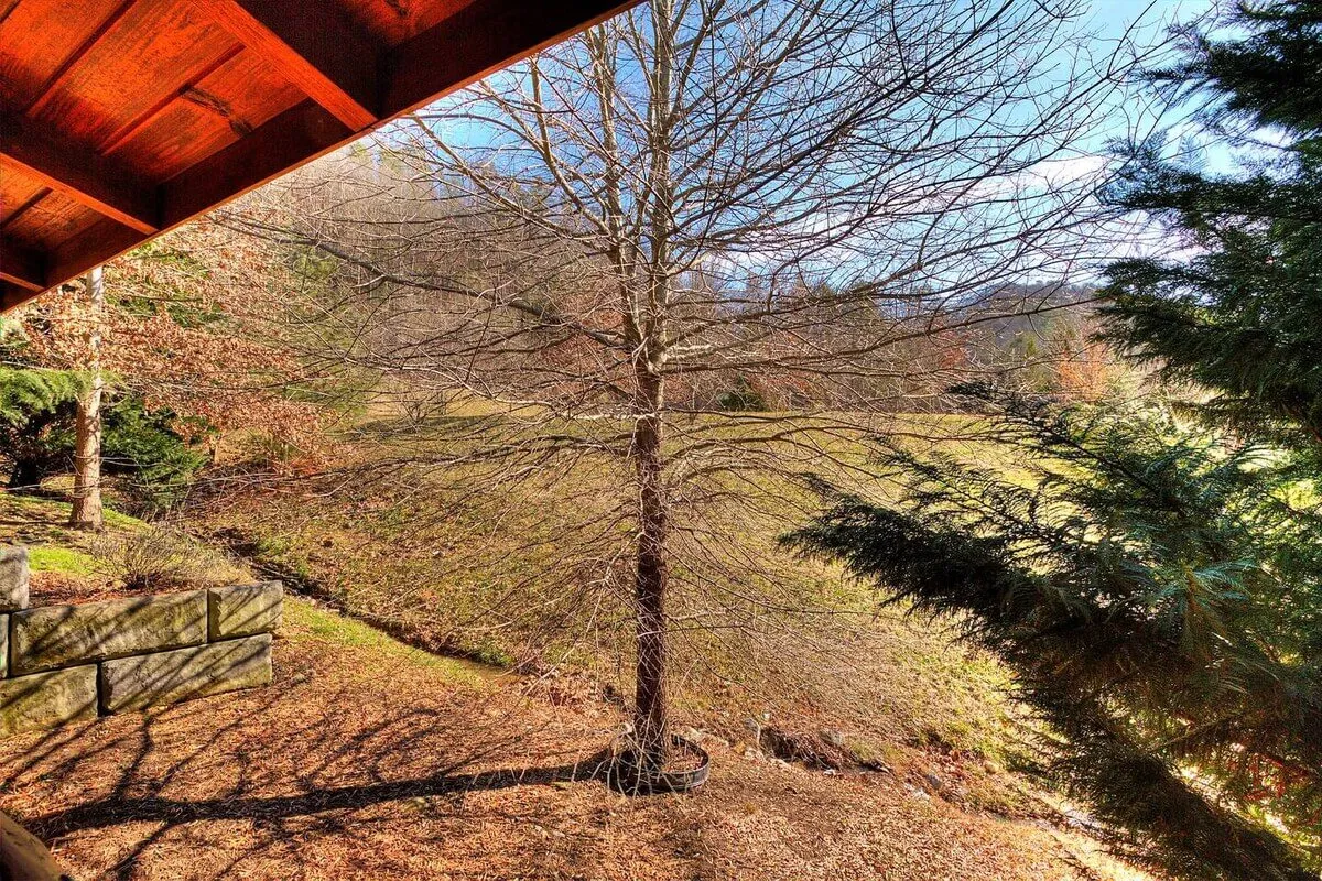 A tranquil scene of a bare tree set against lush greenery and a rustic stone wall. The peaceful atmosphere invites nature walks, quiet reflection, and moments of connection with the surrounding landscape.
